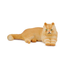 Persian Cat Lying