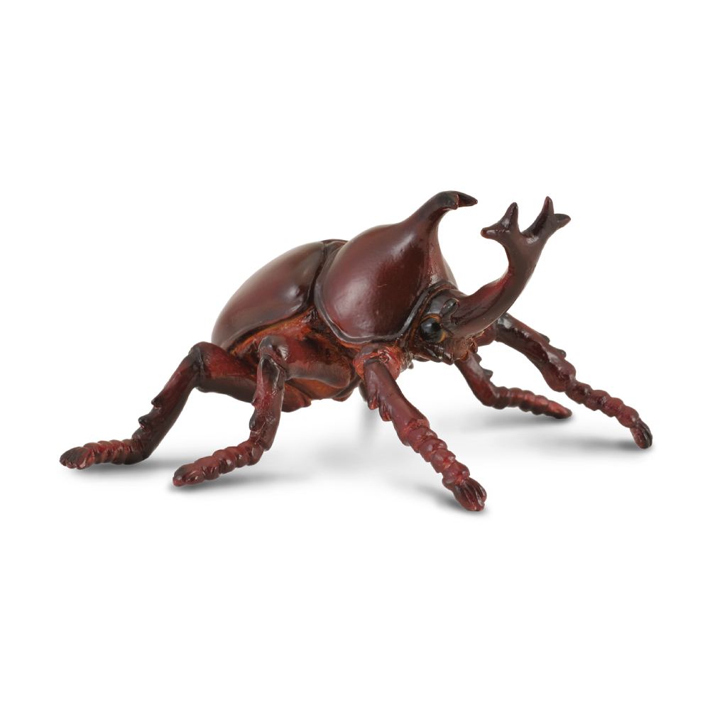 Collecta Rhinoceros Beetle