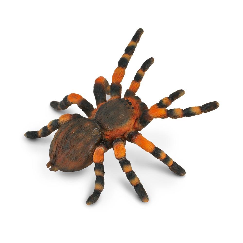 Collecta Mexican Redknee Tarantula