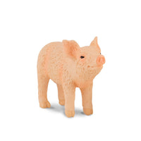 Piglet Smelling
