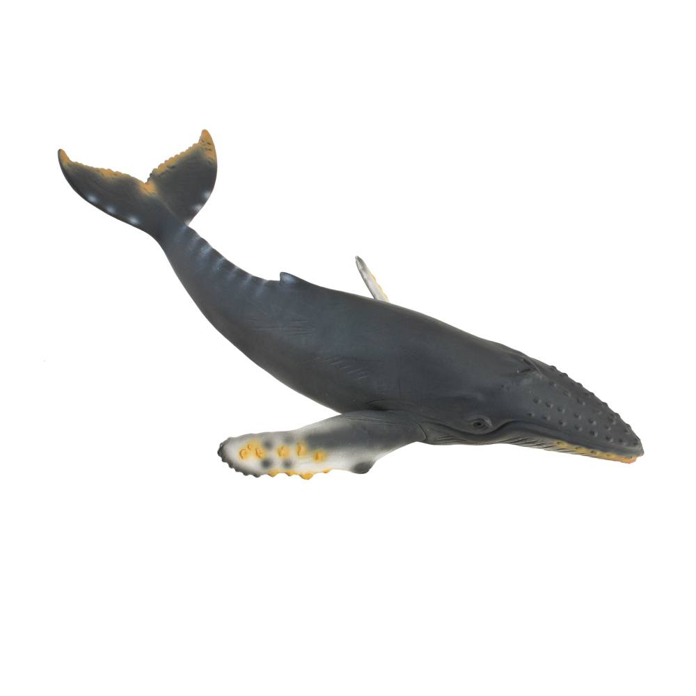 Collecta Humpback Whale