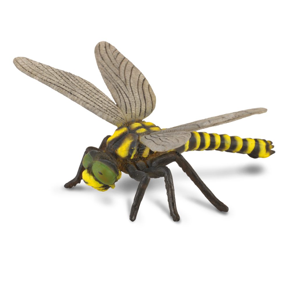 Collecta Goldenringed Dragonfly