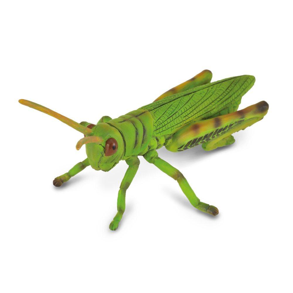 Collecta Grasshopper