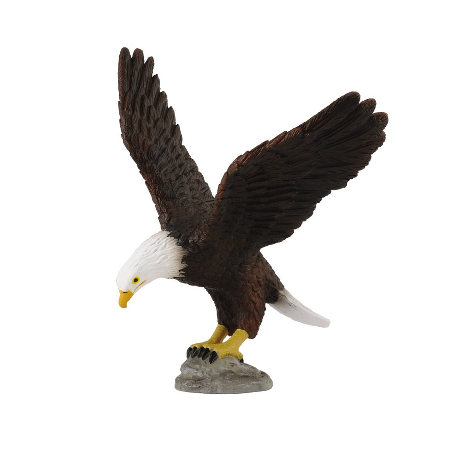 a american eagle