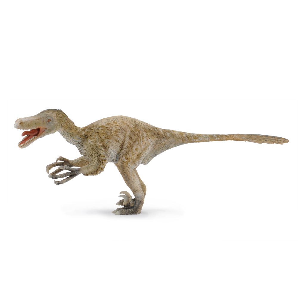 Collecta Velociraptor 1:6 (Deluxe)