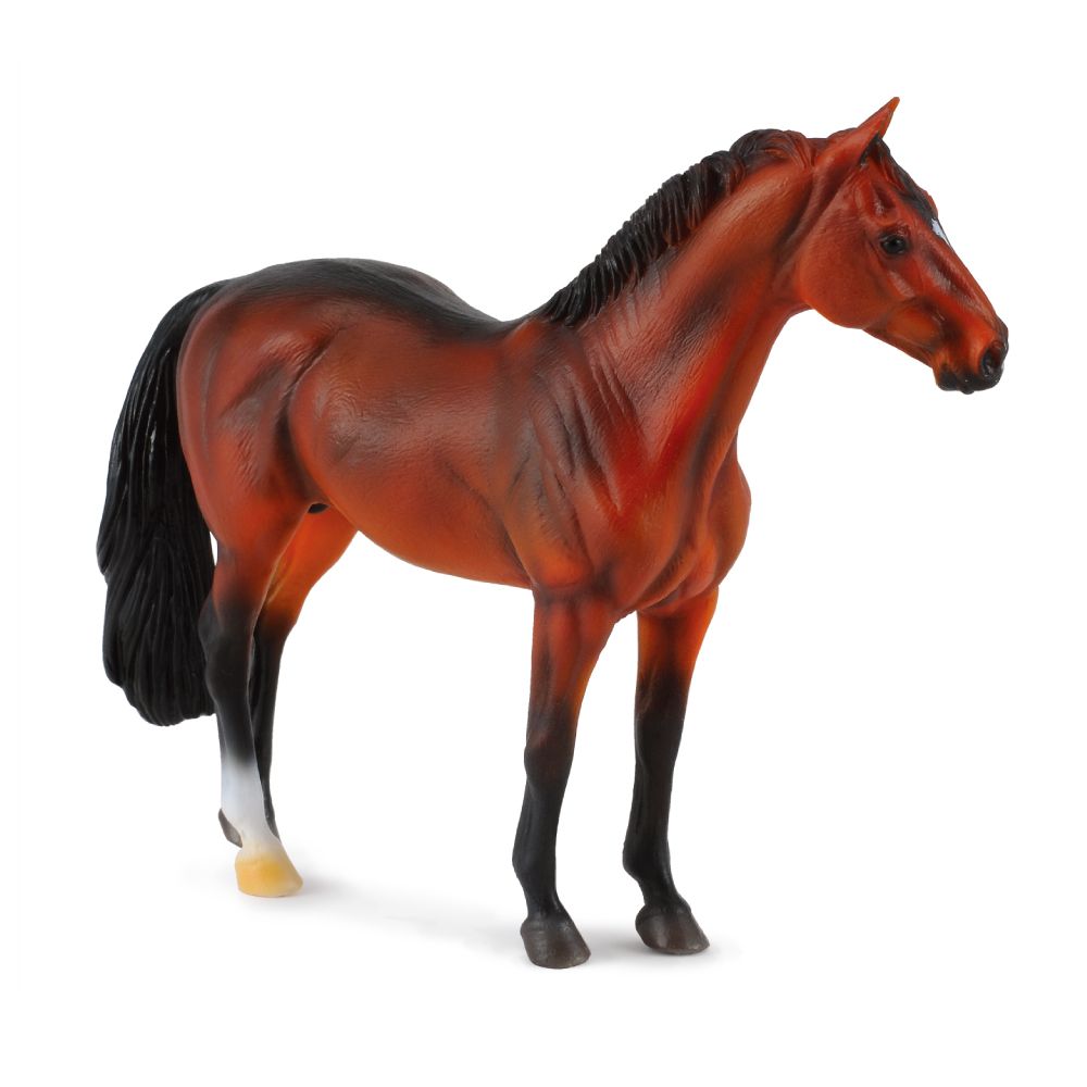 Collecta Hanoverian Stallion Bay