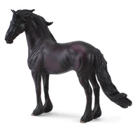 Friesian Stallion