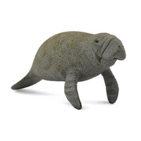 Manatee