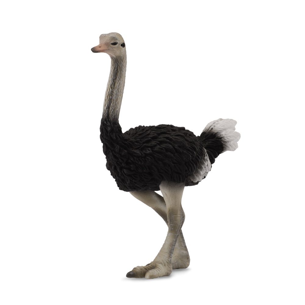 Collecta Ostrich