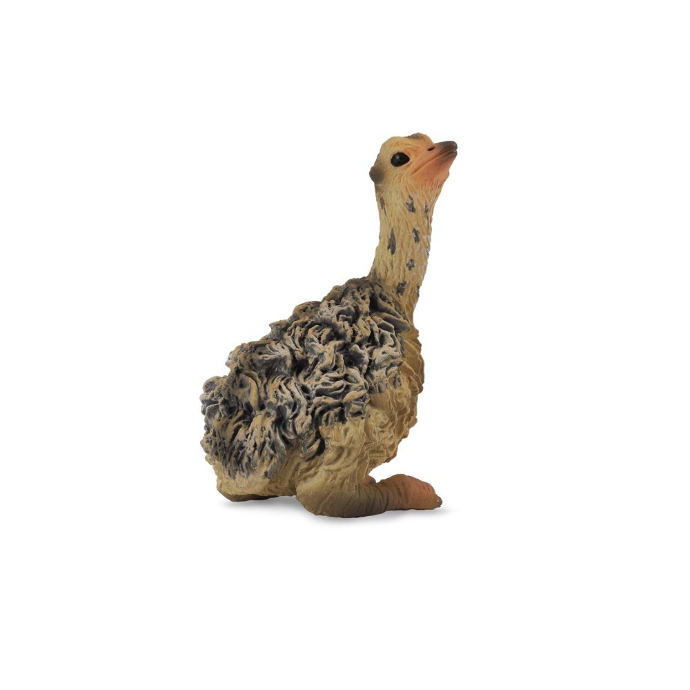 Collecta Ostrich Chick Sitting