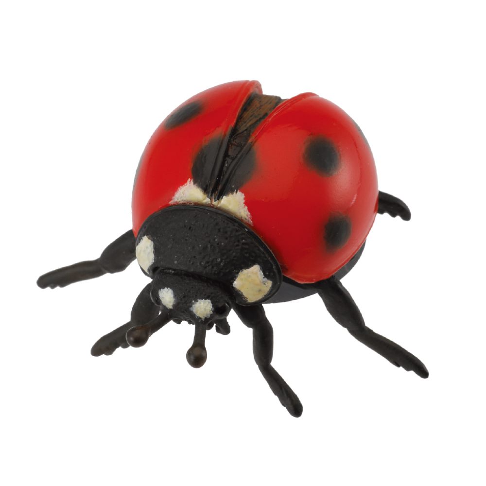Collecta Ladybird