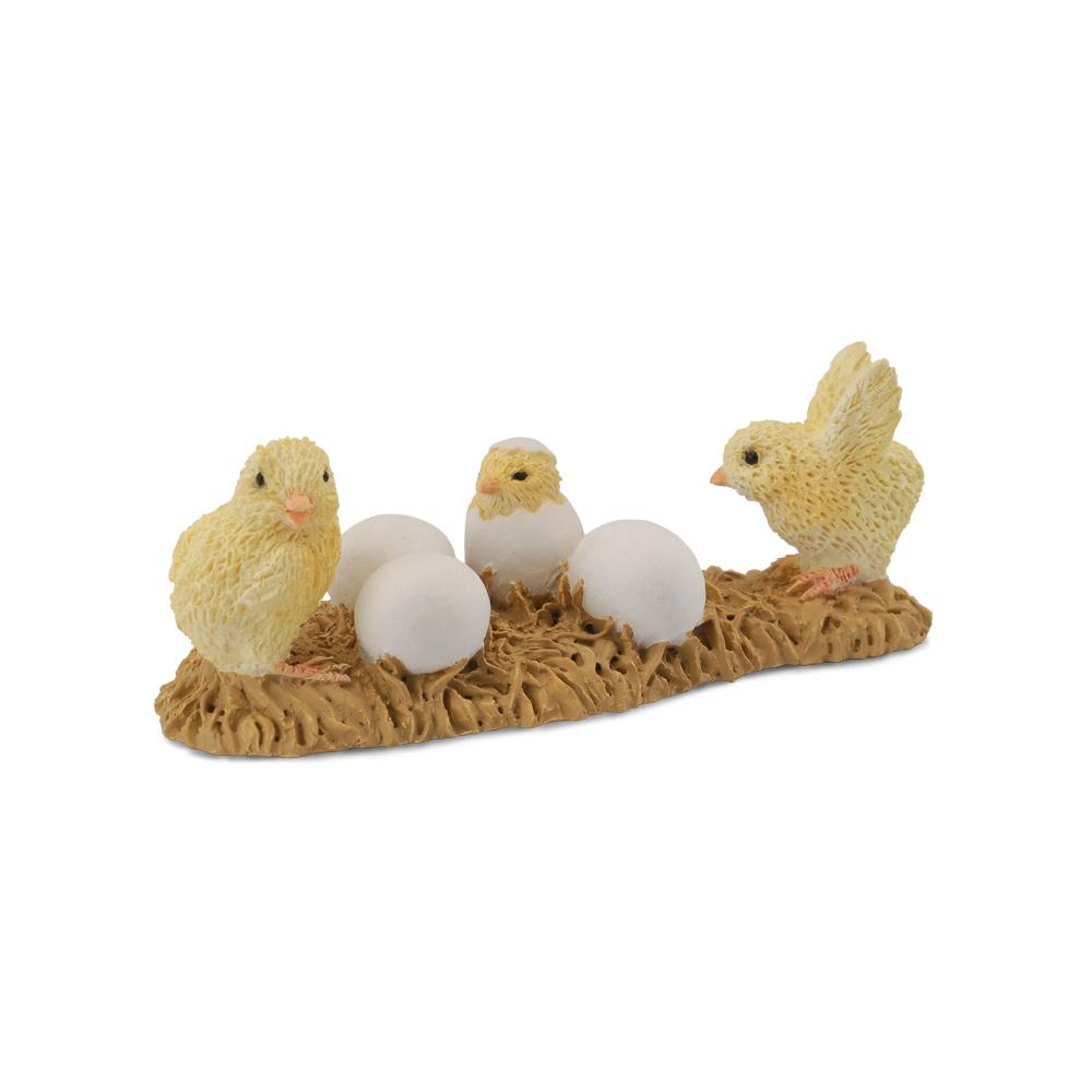 Collecta Chicks Hatching