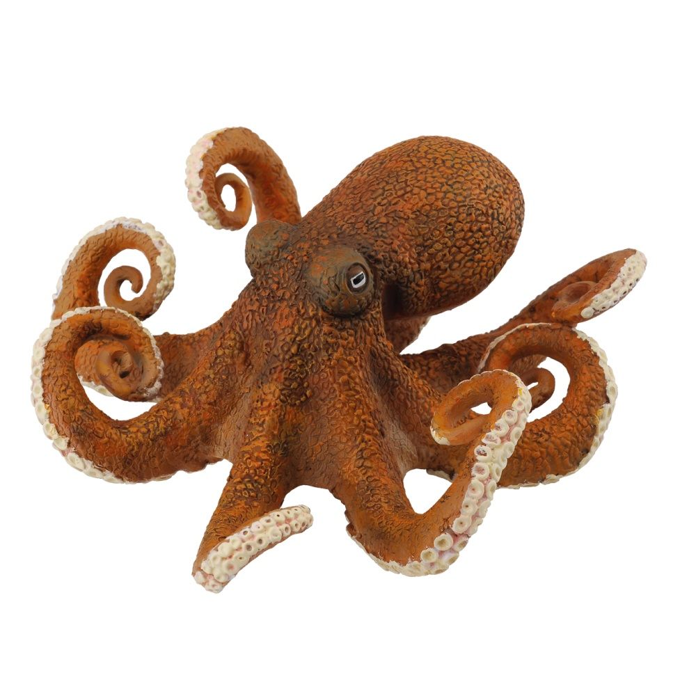 Collecta Octopus