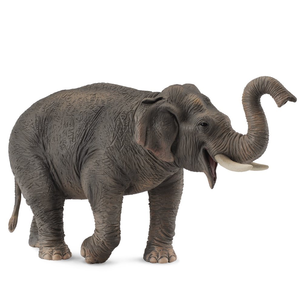 Collecta Asian Elephant