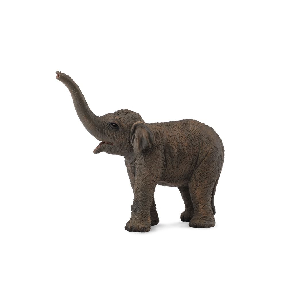 Collecta Asian Elephant Calf