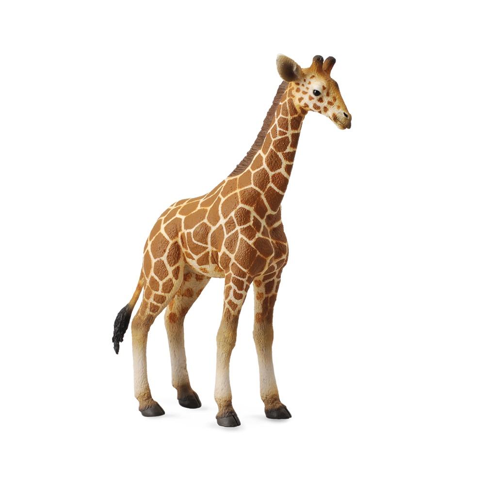 Collecta Reticulated Giraffe Calf