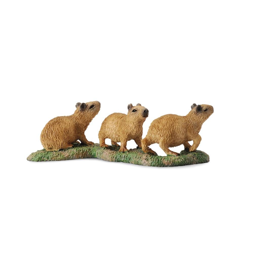 Capybara Babies Figurine  CollectA Collectable Figures – Bigjigs Toys