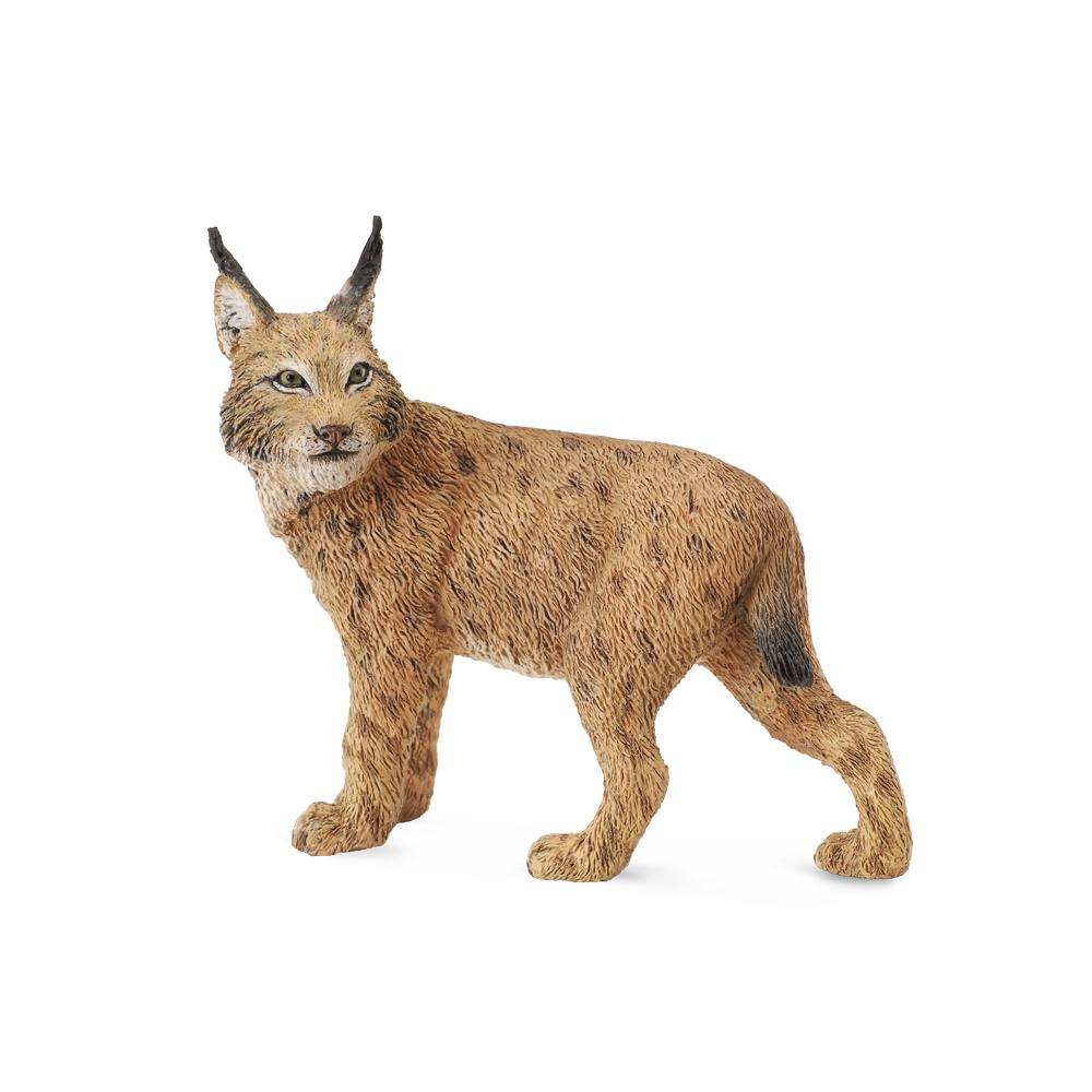 Collecta Lynx