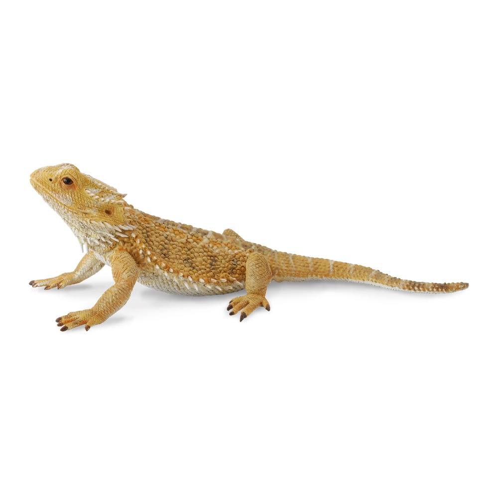 Collecta Bearded Dragon Lizard