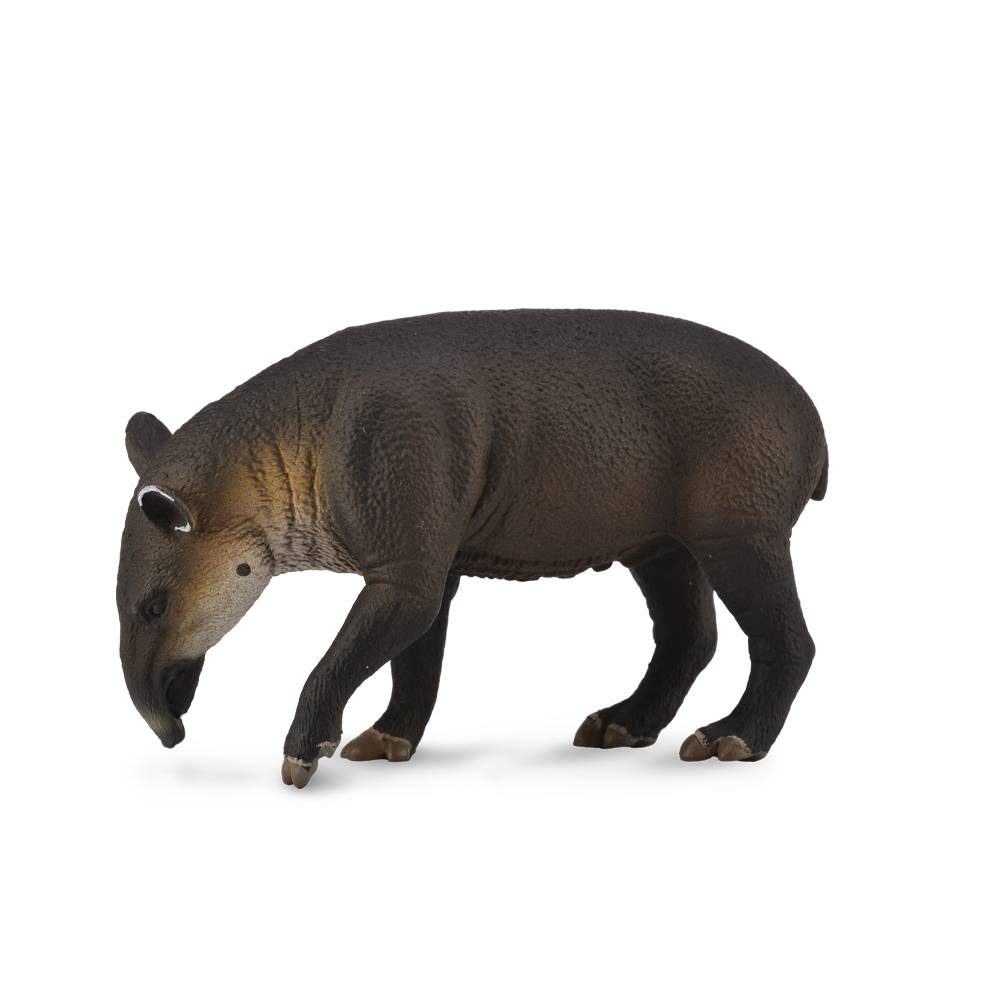 Collecta Baird'S Tapir