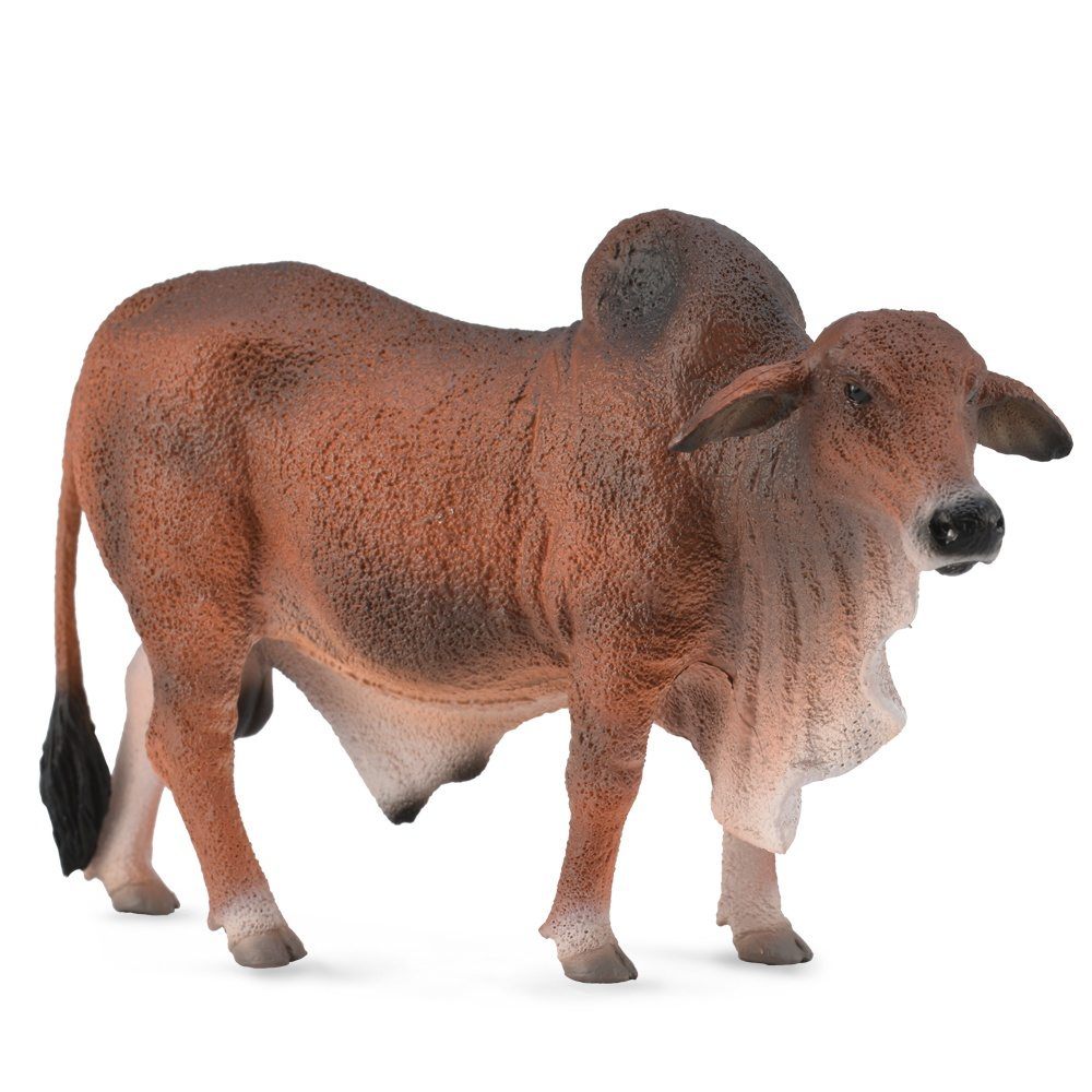 Collecta Red Brahman Bull