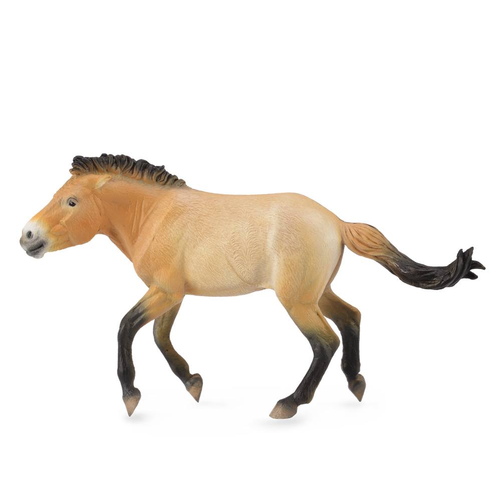 Collecta Przewalski Stallion