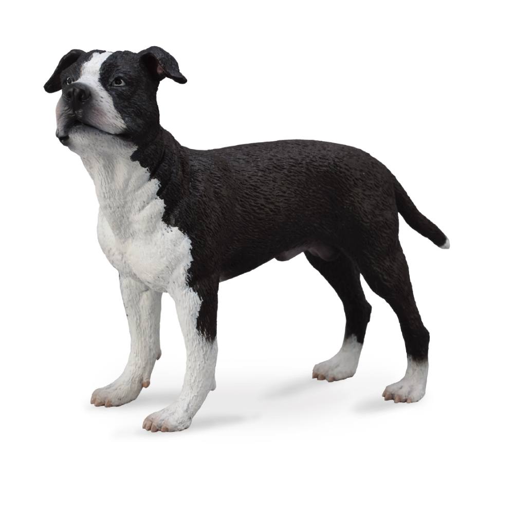 Collecta American Staffordshire Terrier