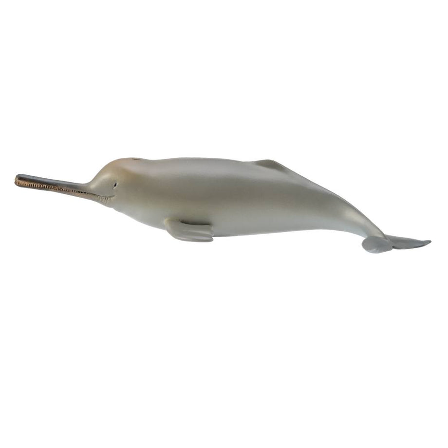 Figure sales of dolphin