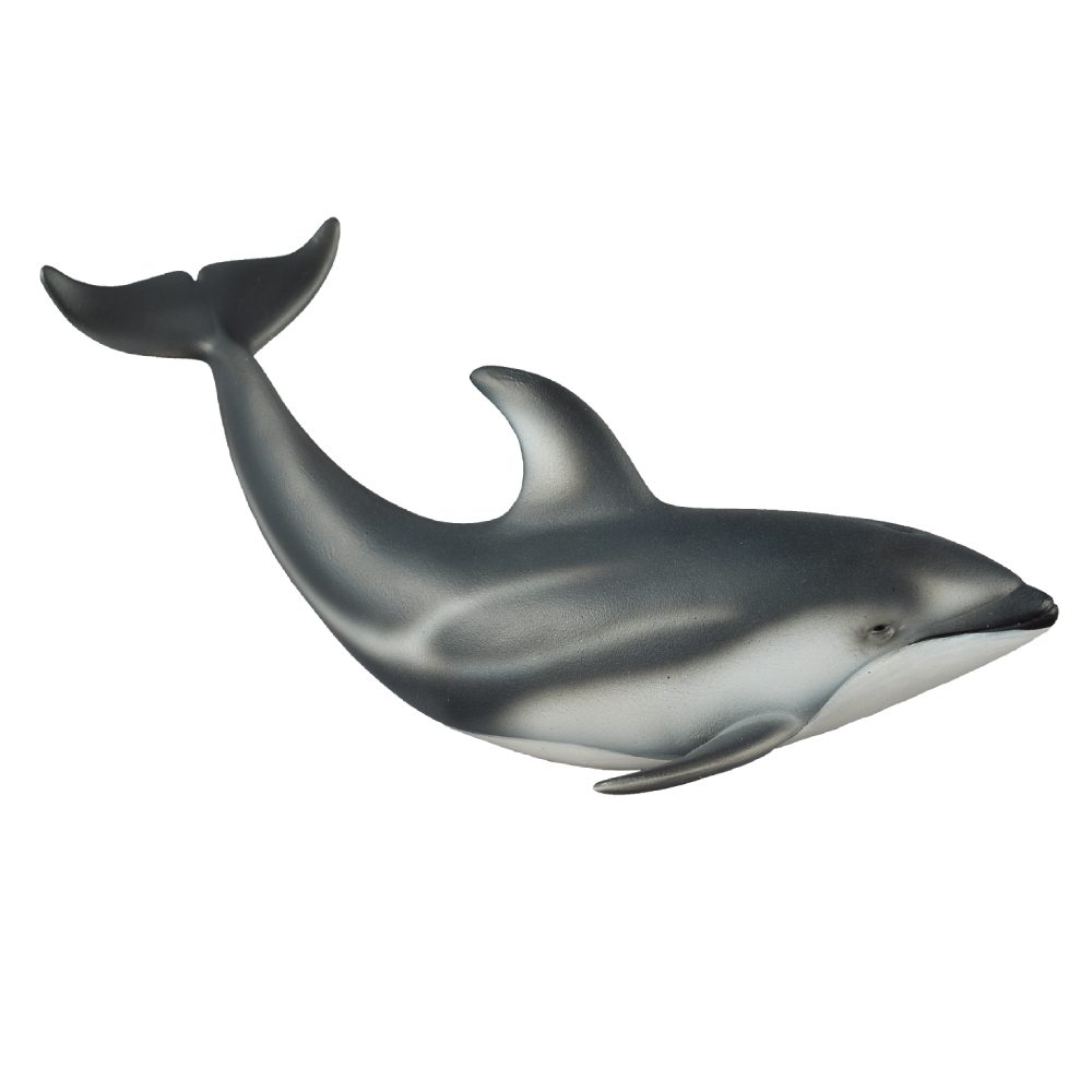 Collecta Pacific Whitesided Dolphin