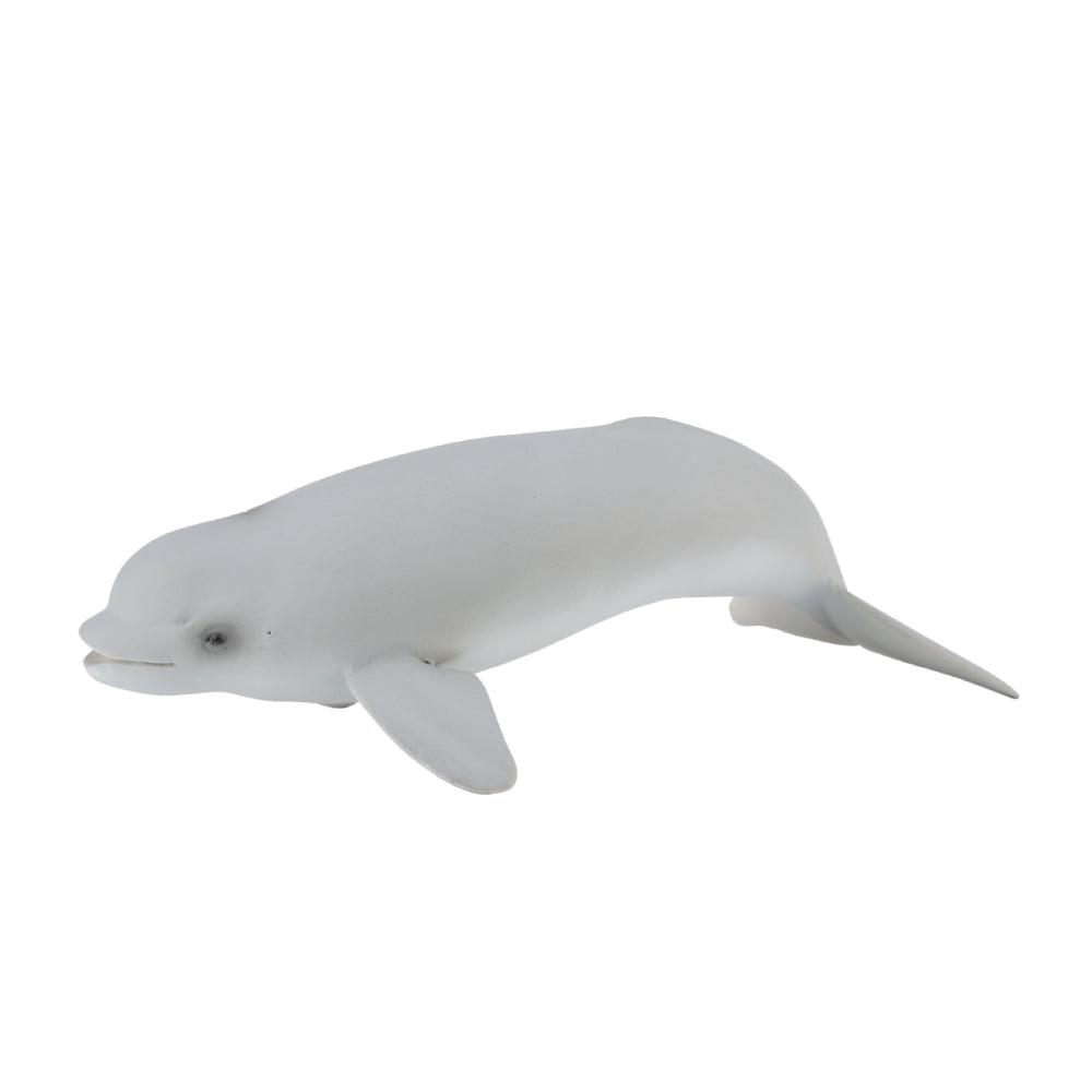 Collecta Beluga Calf