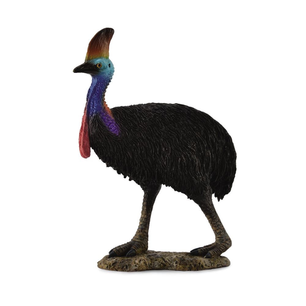 Collecta Southern Cassowary