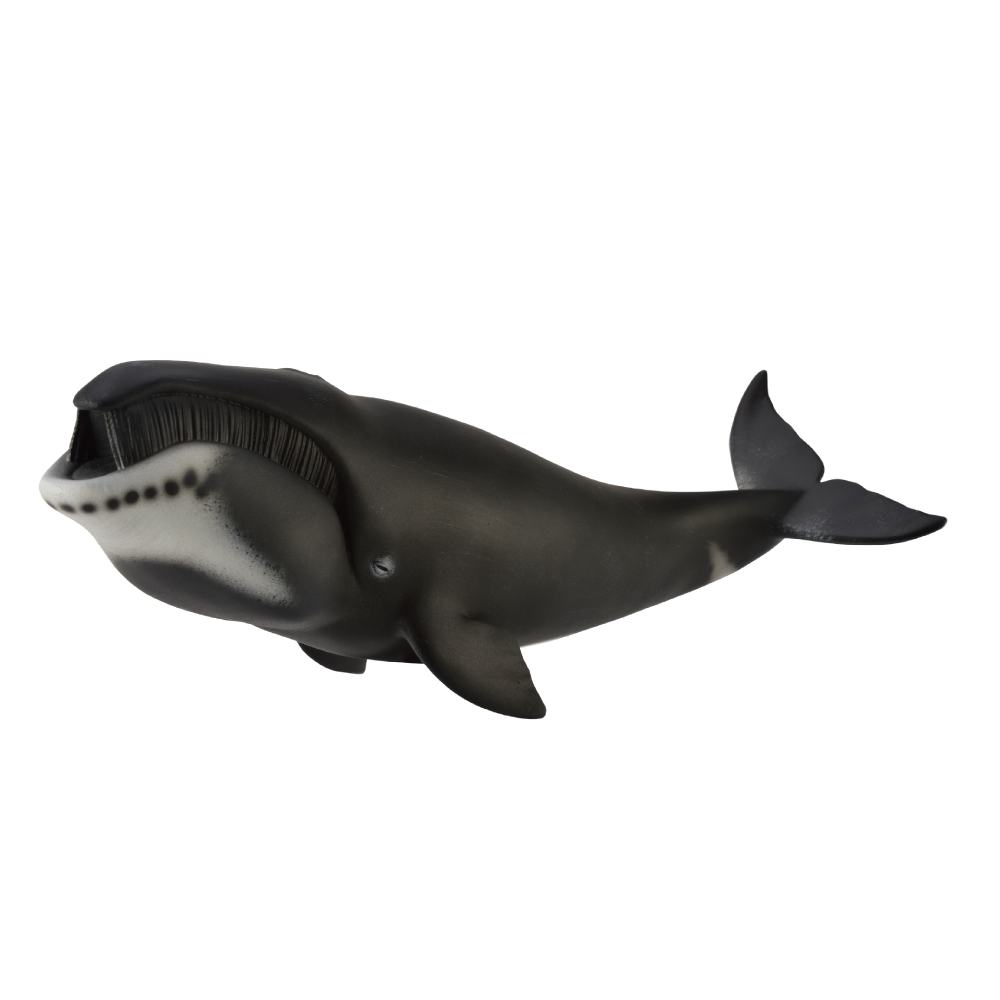 Collecta Bowhead Whale