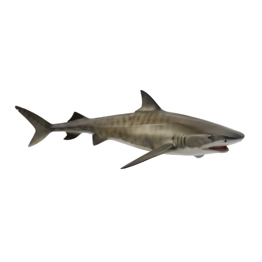 Collecta Tiger Shark