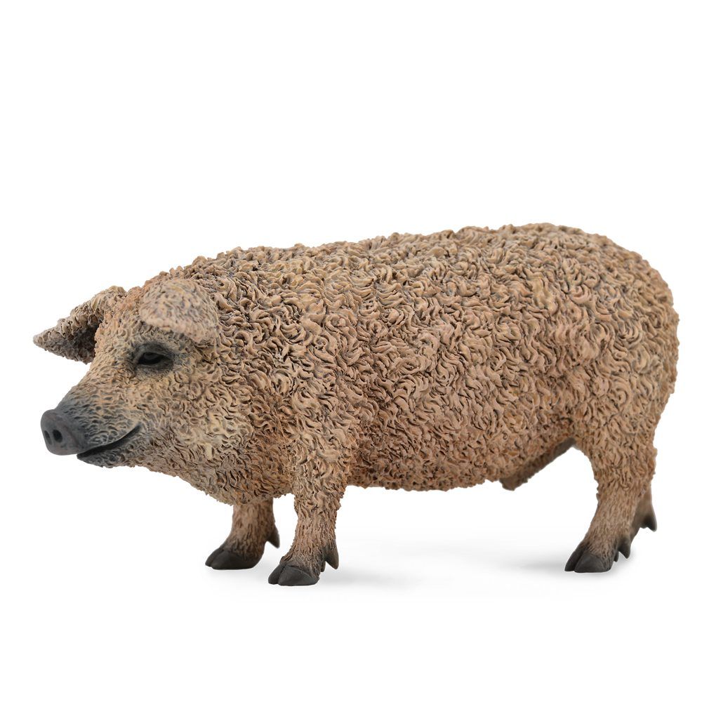 Collecta Hungarian Pig