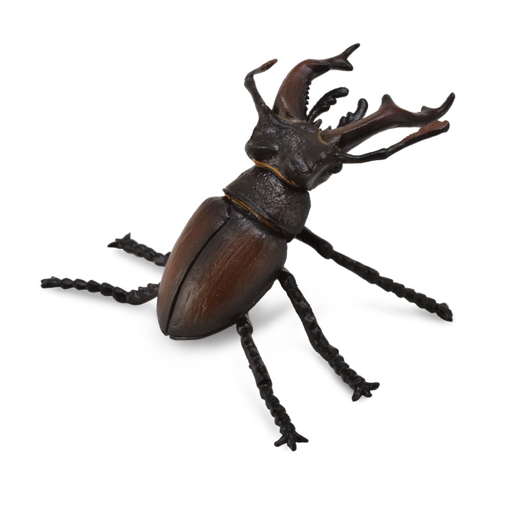 Collecta Stag Beetle