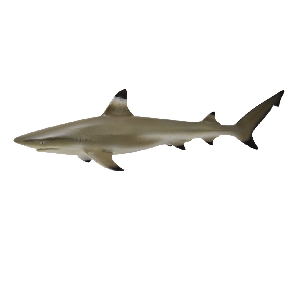 Collecta Blacktip Reef Shark