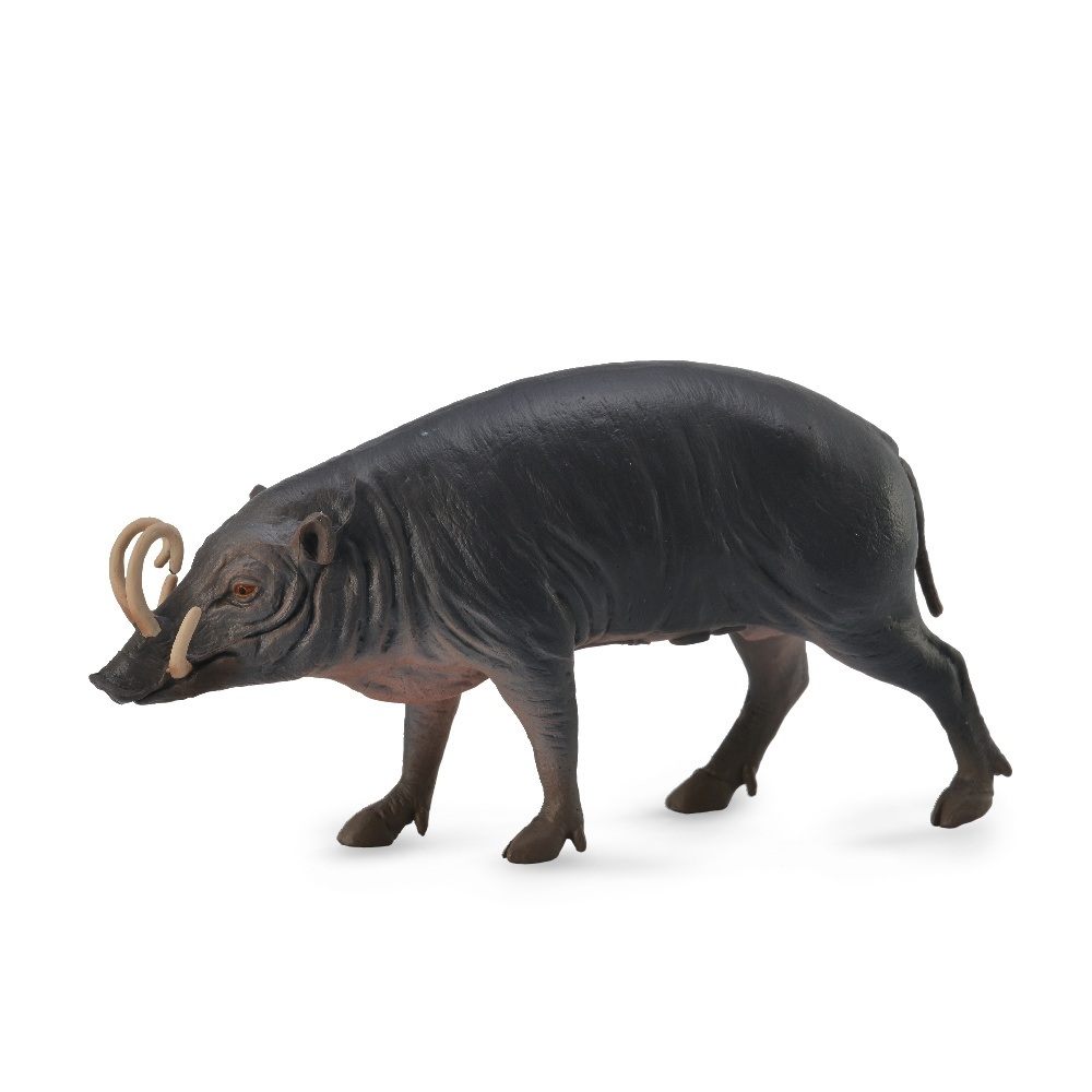 Collecta Sulawesi Babirusa