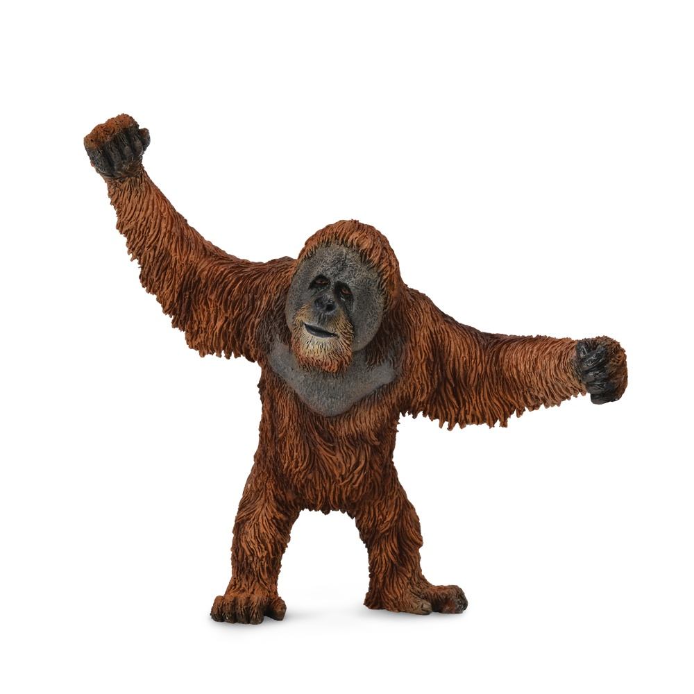 Collecta Orangutan