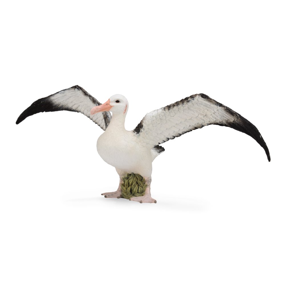 Collecta Wandering Albatross