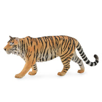 Siberian Tiger