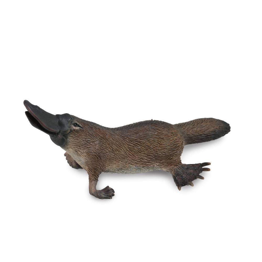 Collecta Platypus