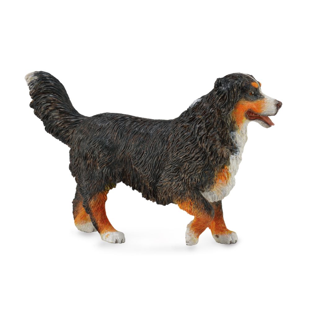 Collecta Bernese Mountain Dog