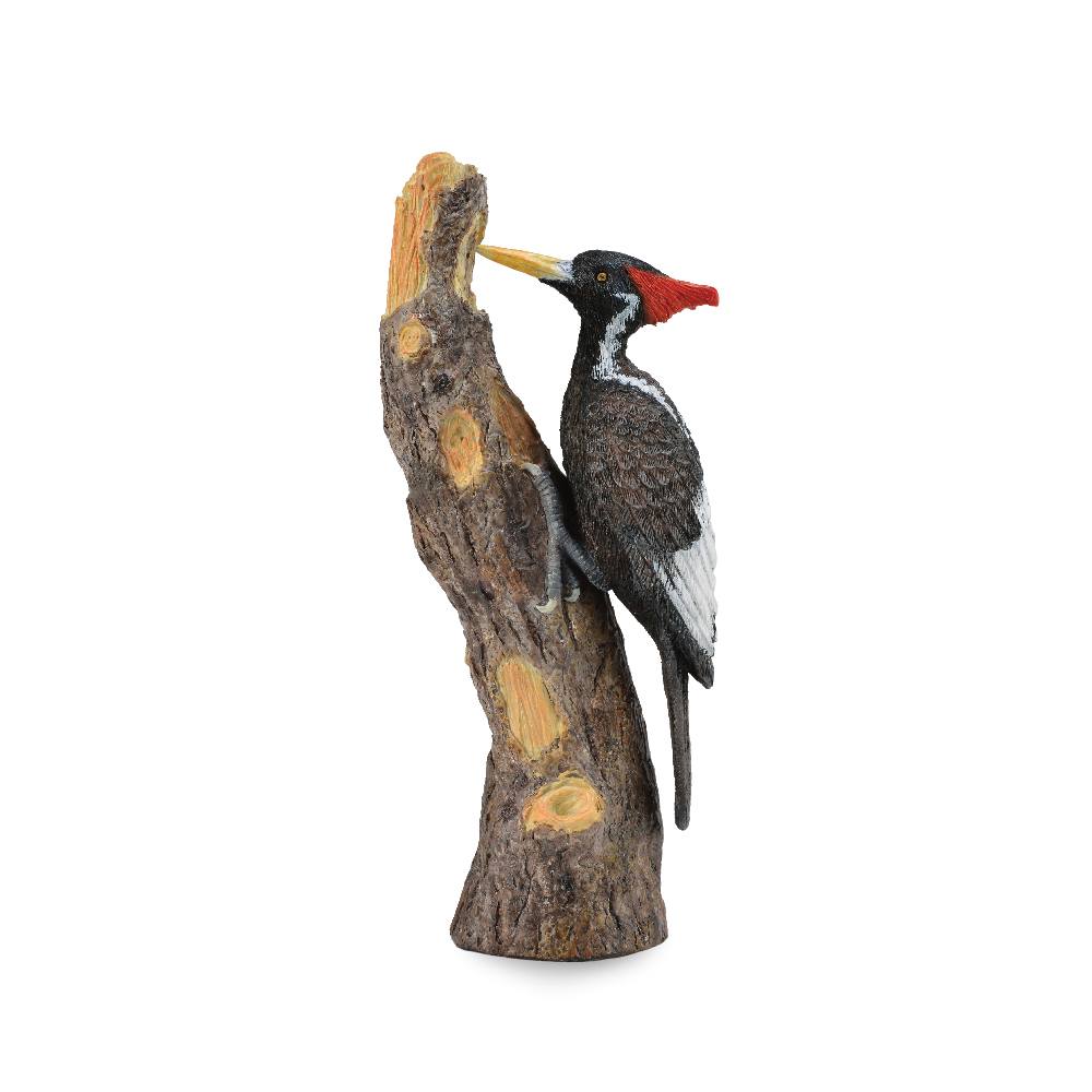 Collecta Ivory-Billed Woodpecker