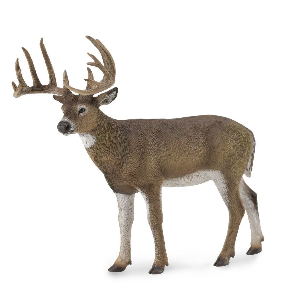 Collecta White-Tailed Deer