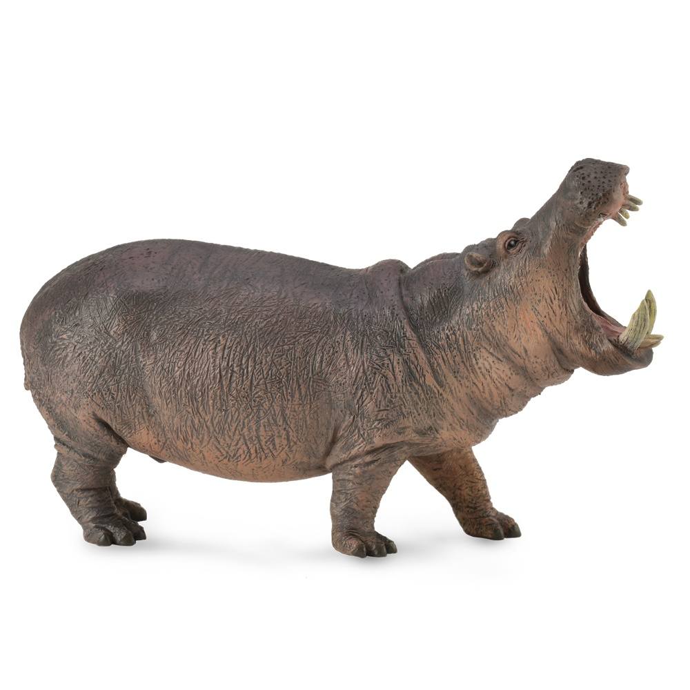 Collecta Hippopotamus