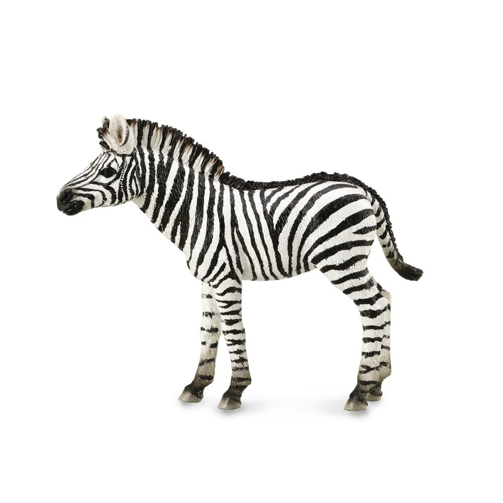 Collecta Zebra Foal