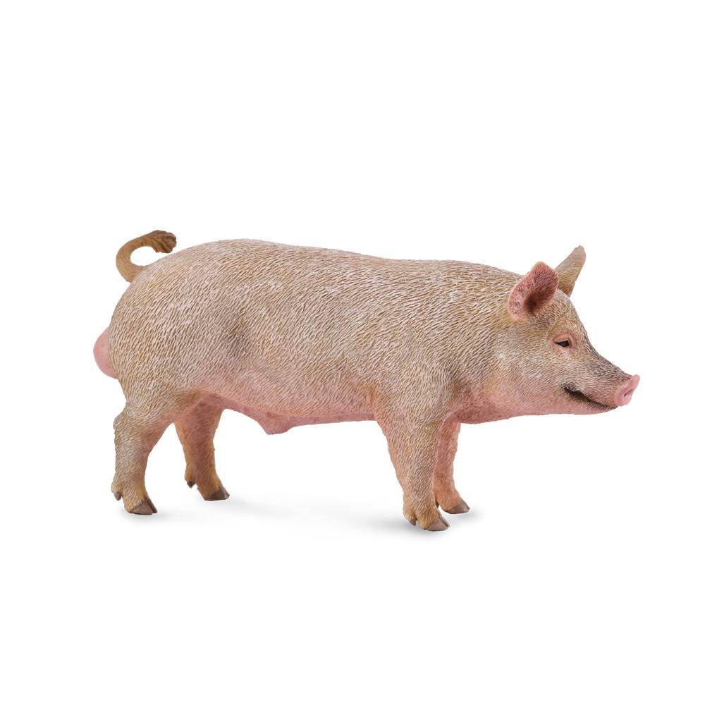Collecta Boar