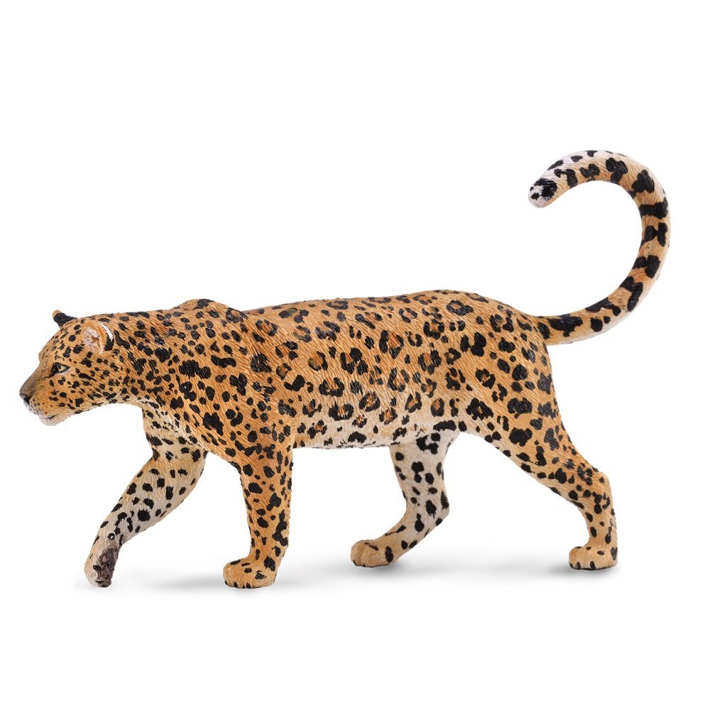 African Leopard Figurine  CollectA Collectable Figures – Bigjigs Toys