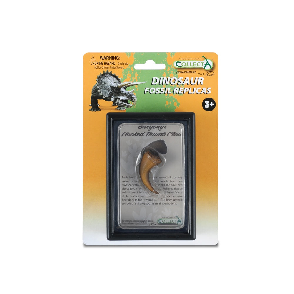 Collecta Hooked Thumb Claw Of Baryonyx In Display Case
