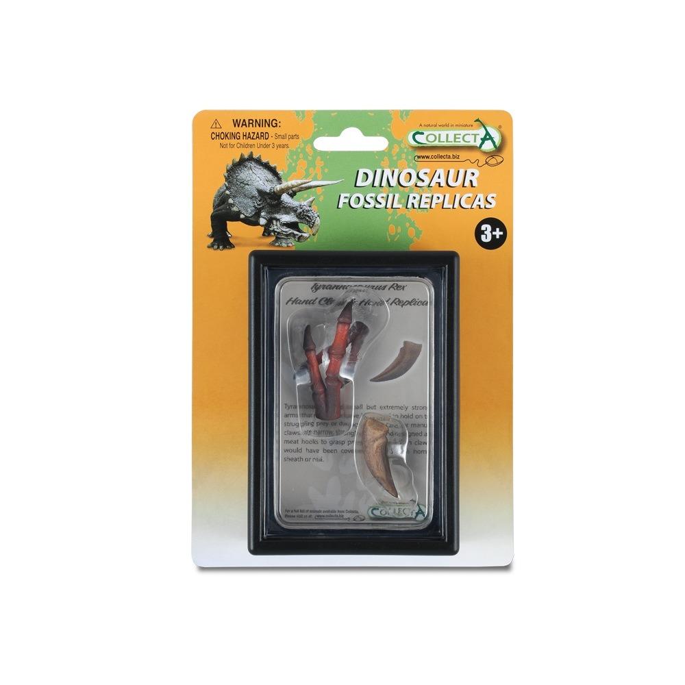 Collecta Claw And Hand Replica Of T-Rex In Display Case